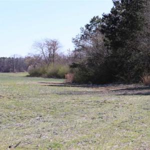 Photo of SOLD!!  5.95 Acres of Development Land For Sale in Harnett County NC!