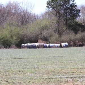 Photo of SOLD!!  5.95 Acres of Development Land For Sale in Harnett County NC!