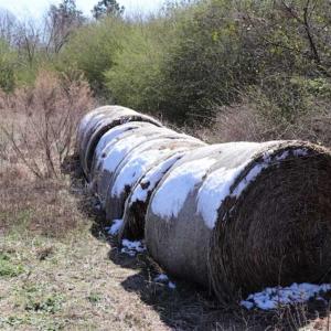Photo of SOLD!!  5.95 Acres of Development Land For Sale in Harnett County NC!