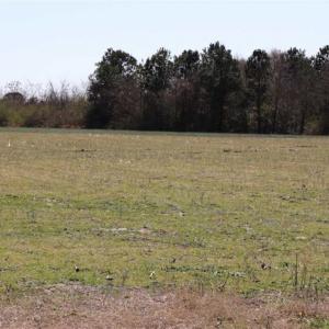 Photo of SOLD!!  5.95 Acres of Development Land For Sale in Harnett County NC!