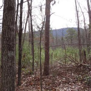 Photo of SOLD!!  20 Acres of Residential and Timber Land For Sale in Augusta County VA!