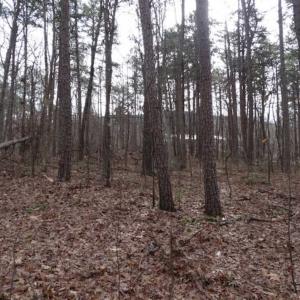 Photo of SOLD!!  20 Acres of Residential and Timber Land For Sale in Augusta County VA!