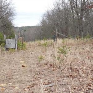 Photo of SOLD!!  20 Acres of Residential and Timber Land For Sale in Augusta County VA!
