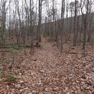 Photo of SOLD!!  20 Acres of Residential and Timber Land For Sale in Augusta County VA!