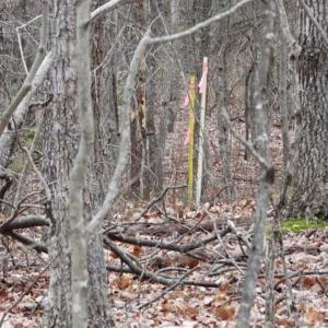 Photo of SOLD!!  20 Acres of Residential and Timber Land For Sale in Augusta County VA!