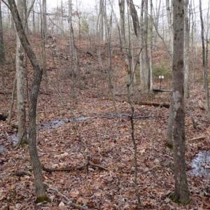 Photo of SOLD!!  20 Acres of Residential and Timber Land For Sale in Augusta County VA!
