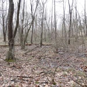 Photo of SOLD!!  20 Acres of Residential and Timber Land For Sale in Augusta County VA!