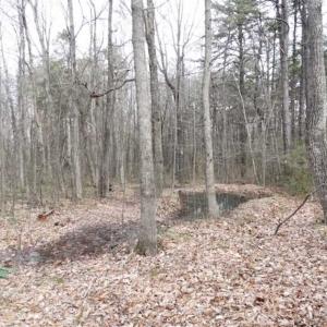Photo of SOLD!!  20 Acres of Residential and Timber Land For Sale in Augusta County VA!
