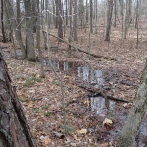 Photo of SOLD!!  20 Acres of Residential and Timber Land For Sale in Augusta County VA!