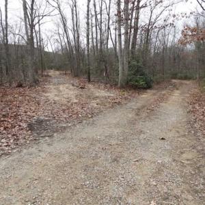 Photo of SOLD!!  20 Acres of Residential and Timber Land For Sale in Augusta County VA!