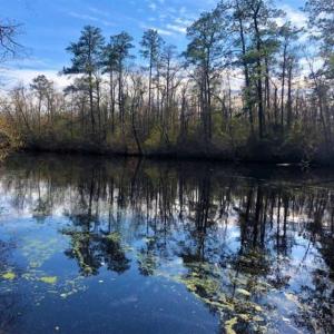 Photo of SOLD!! 142.05 Acres of Hunting Land For Sale in Camden County NC!