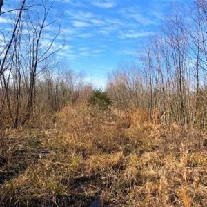 Photo of SOLD!! 142.05 Acres of Hunting Land For Sale in Camden County NC!