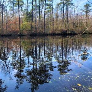 Photo of SOLD!! 142.05 Acres of Hunting Land For Sale in Camden County NC!