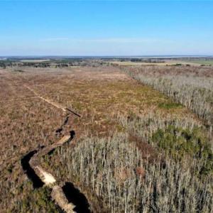 Photo of SOLD!! 142.05 Acres of Hunting Land For Sale in Camden County NC!