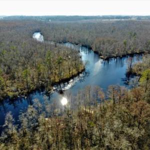 Photo of SOLD!! 142.05 Acres of Hunting Land For Sale in Camden County NC!