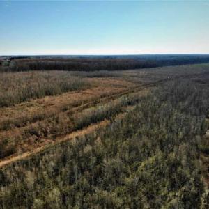 Photo of SOLD!! 142.05 Acres of Hunting Land For Sale in Camden County NC!
