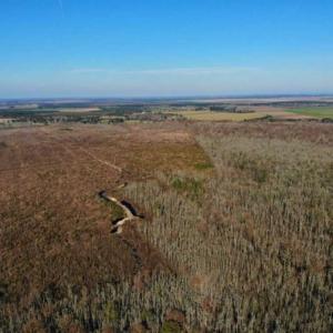 Photo of SOLD!! 142.05 Acres of Hunting Land For Sale in Camden County NC!