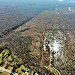 Photo of SOLD!! 142.05 Acres of Hunting Land For Sale in Camden County NC!