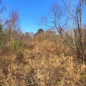 Photo of SOLD!! 142.05 Acres of Hunting Land For Sale in Camden County NC!