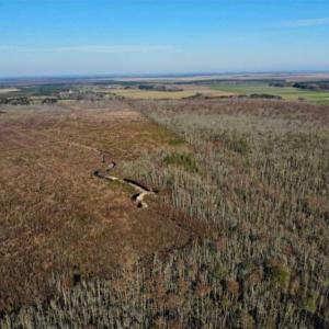 Photo of SOLD!! 142.05 Acres of Hunting Land For Sale in Camden County NC!