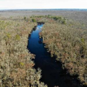 Photo of SOLD!! 142.05 Acres of Hunting Land For Sale in Camden County NC!