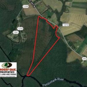Photo of SOLD!! 142.05 Acres of Hunting Land For Sale in Camden County NC!