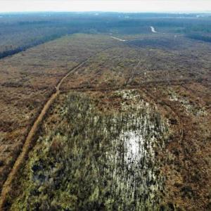 Photo of SOLD!! 142.05 Acres of Hunting Land For Sale in Camden County NC!