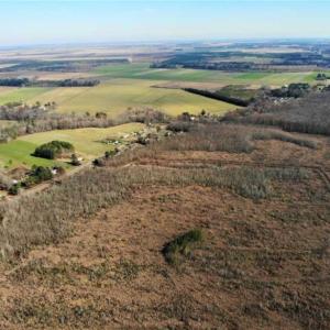 Photo of SOLD!! 142.05 Acres of Hunting Land For Sale in Camden County NC!