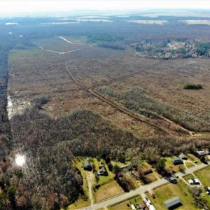 Photo of SOLD!! 142.05 Acres of Hunting Land For Sale in Camden County NC!