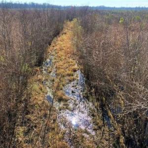 Photo of SOLD!! 142.05 Acres of Hunting Land For Sale in Camden County NC!