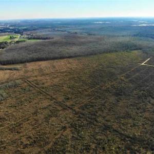 Photo of SOLD!! 142.05 Acres of Hunting Land For Sale in Camden County NC!