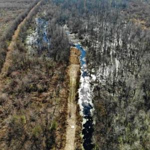 Photo of SOLD!! 142.05 Acres of Hunting Land For Sale in Camden County NC!