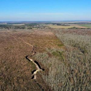 Photo of SOLD!! 142.05 Acres of Hunting Land For Sale in Camden County NC!
