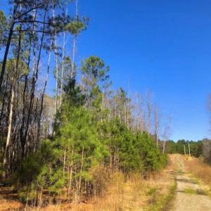 Photo of UNDER CONTRACT!!  10.02 Acres of Residential Land For Sale in Lee County NC!