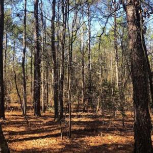 Photo of UNDER CONTRACT!!  10.02 Acres of Residential Land For Sale in Lee County NC!