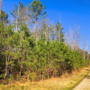 Photo of UNDER CONTRACT!!  10.02 Acres of Residential Land For Sale in Lee County NC!