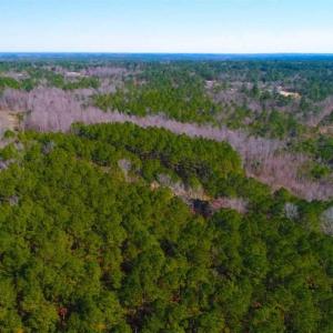 Photo of UNDER CONTRACT!!  10.02 Acres of Residential Land For Sale in Lee County NC!
