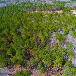 Photo of UNDER CONTRACT!!  10.02 Acres of Residential Land For Sale in Lee County NC!