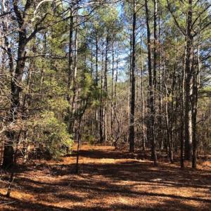 Photo of UNDER CONTRACT!!  10.02 Acres of Residential Land For Sale in Lee County NC!
