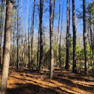 Photo of UNDER CONTRACT!!  10.02 Acres of Residential Land For Sale in Lee County NC!