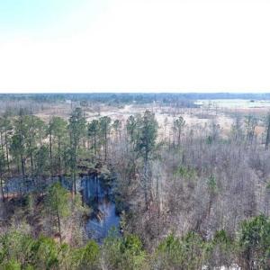 Photo of SOLD!!  45.13 Acres of Timber and Hunting Land For Sale in Columbus County NC!