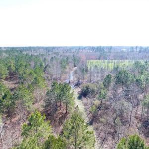 Photo of SOLD!!  45.13 Acres of Timber and Hunting Land For Sale in Columbus County NC!