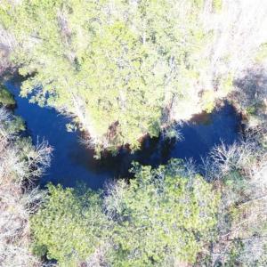 Photo of SOLD!!  45.13 Acres of Timber and Hunting Land For Sale in Columbus County NC!