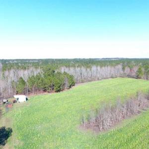 Photo of SOLD!!  45.13 Acres of Timber and Hunting Land For Sale in Columbus County NC!