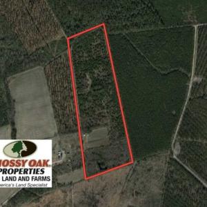 Photo of SOLD!!  45.13 Acres of Timber and Hunting Land For Sale in Columbus County NC!