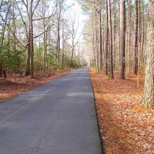 Photo of SOLD!!  0.6 Acre Residential Lot For Sale in Isle of Wight County VA!