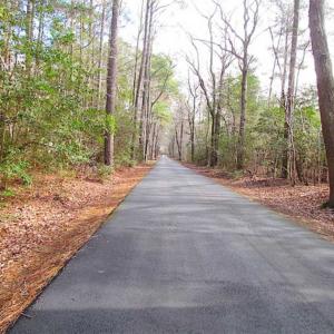 Photo of SOLD!!  0.6 Acre Residential Lot For Sale in Isle of Wight County VA!