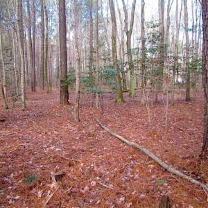 Photo of SOLD!!  0.6 Acre Residential Lot For Sale in Isle of Wight County VA!
