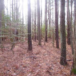 Photo of SOLD!!  0.6 Acre Residential Lot For Sale in Isle of Wight County VA!