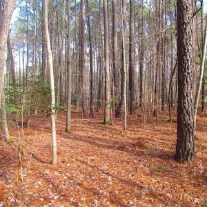 Photo of SOLD!!  0.6 Acre Residential Lot For Sale in Isle of Wight County VA!